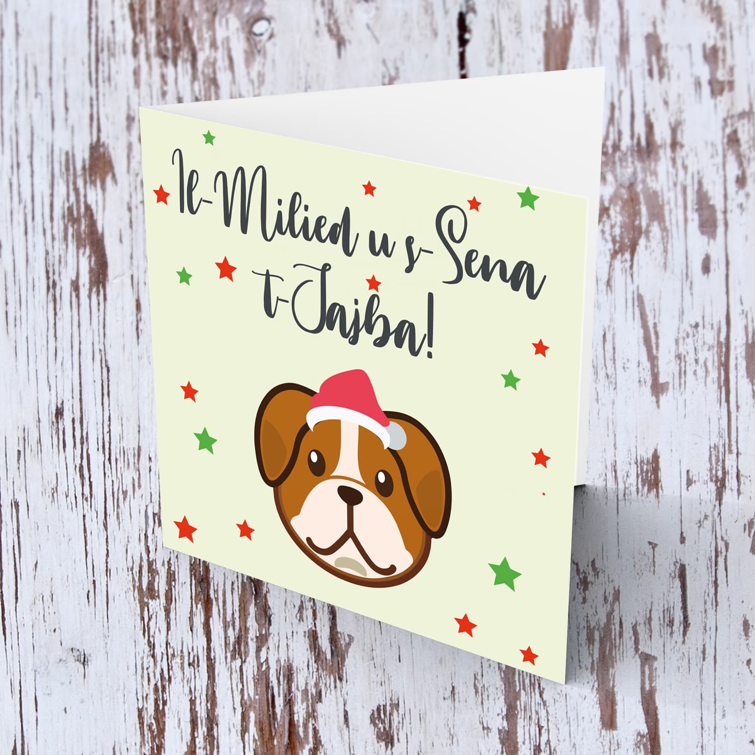 Dog themed Christmas card wearing Santa hat in Maltese