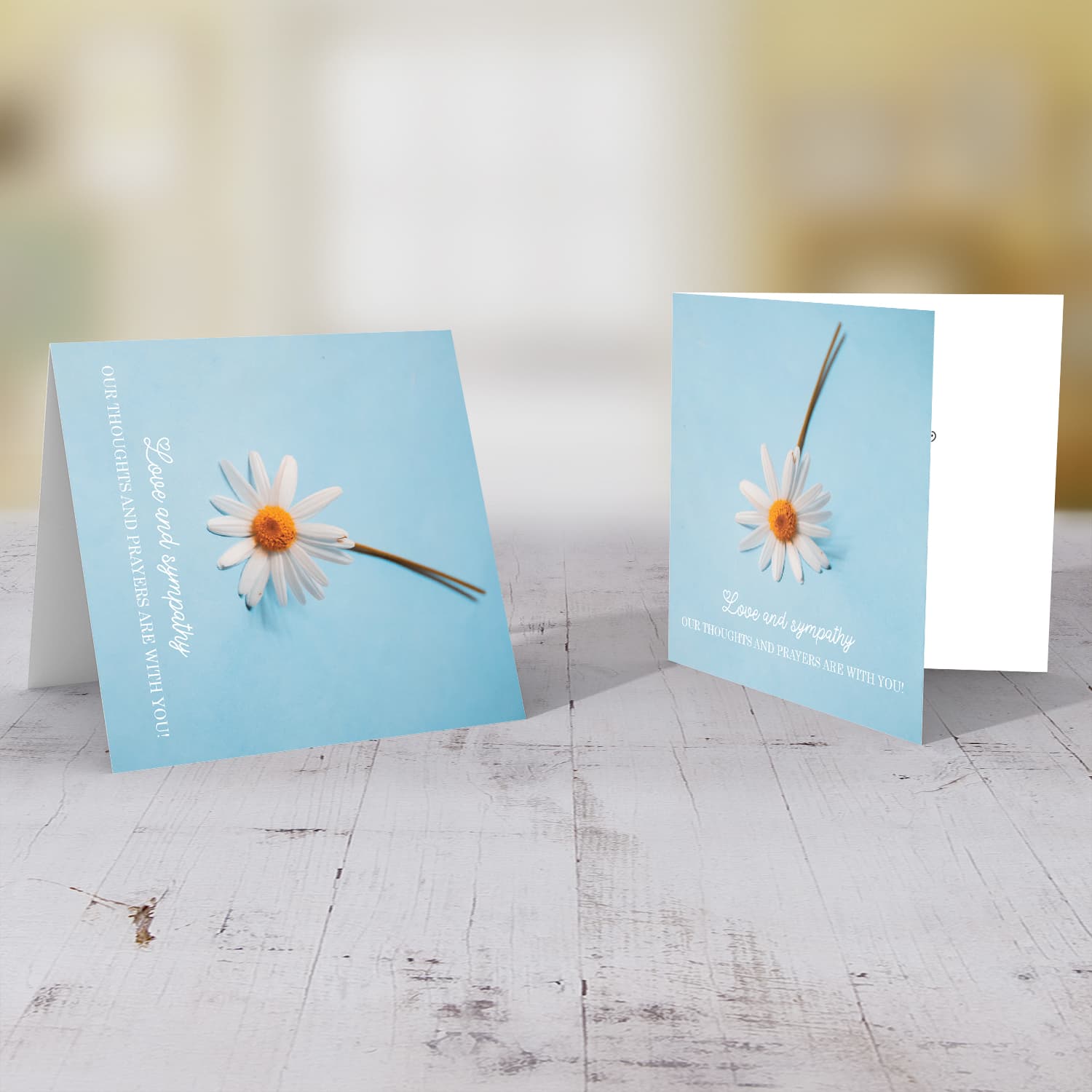 Sympathy card with white flower and pastel background in English 