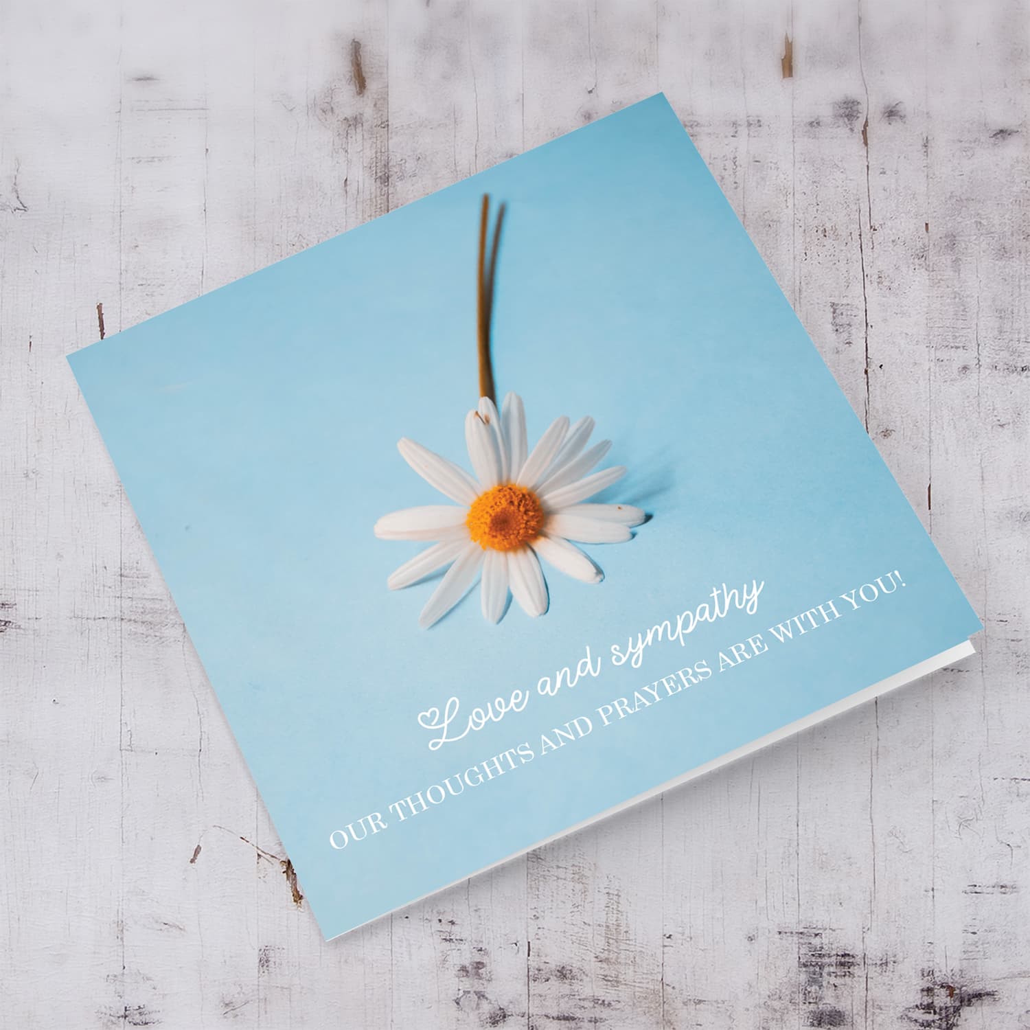 Sympathy card with white flower and pastel background in English 