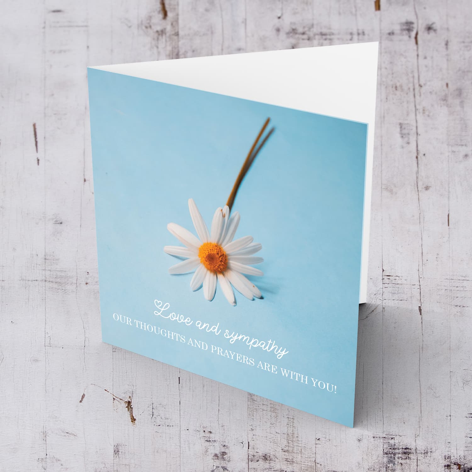 Sympathy card with white flower and pastel background in English 