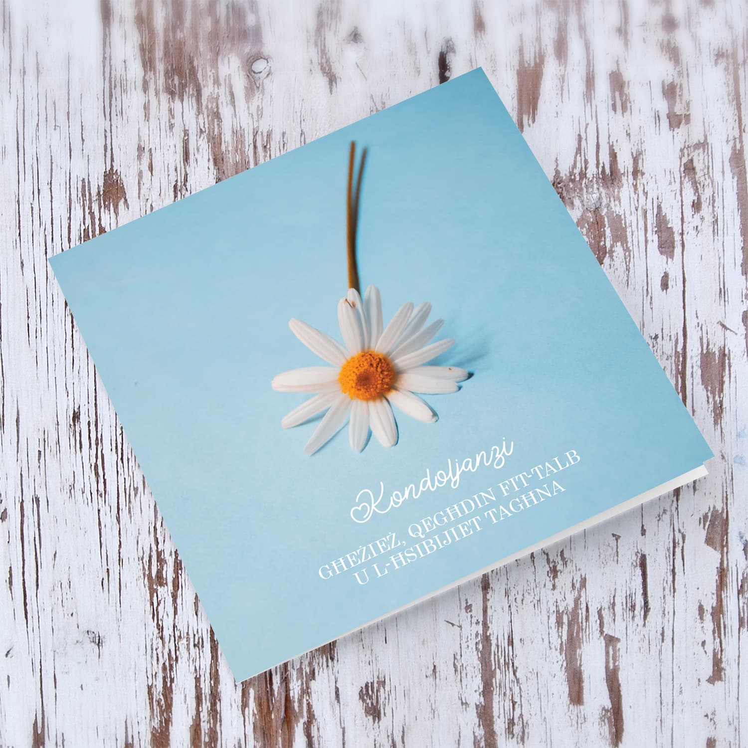 Sympathy card with white flower and pastel background in Maltese