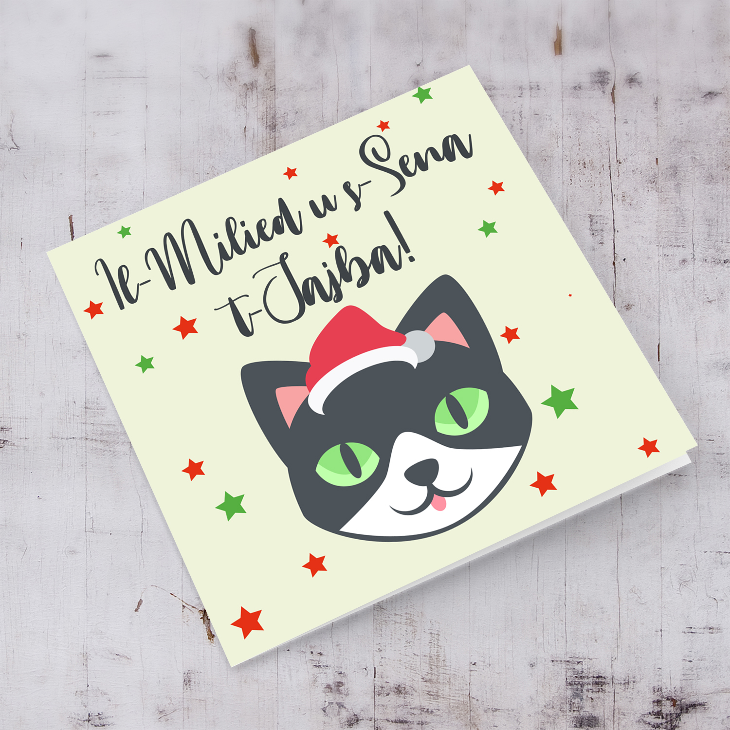 Cat themed Christmas card wearing santa hat in Maltese