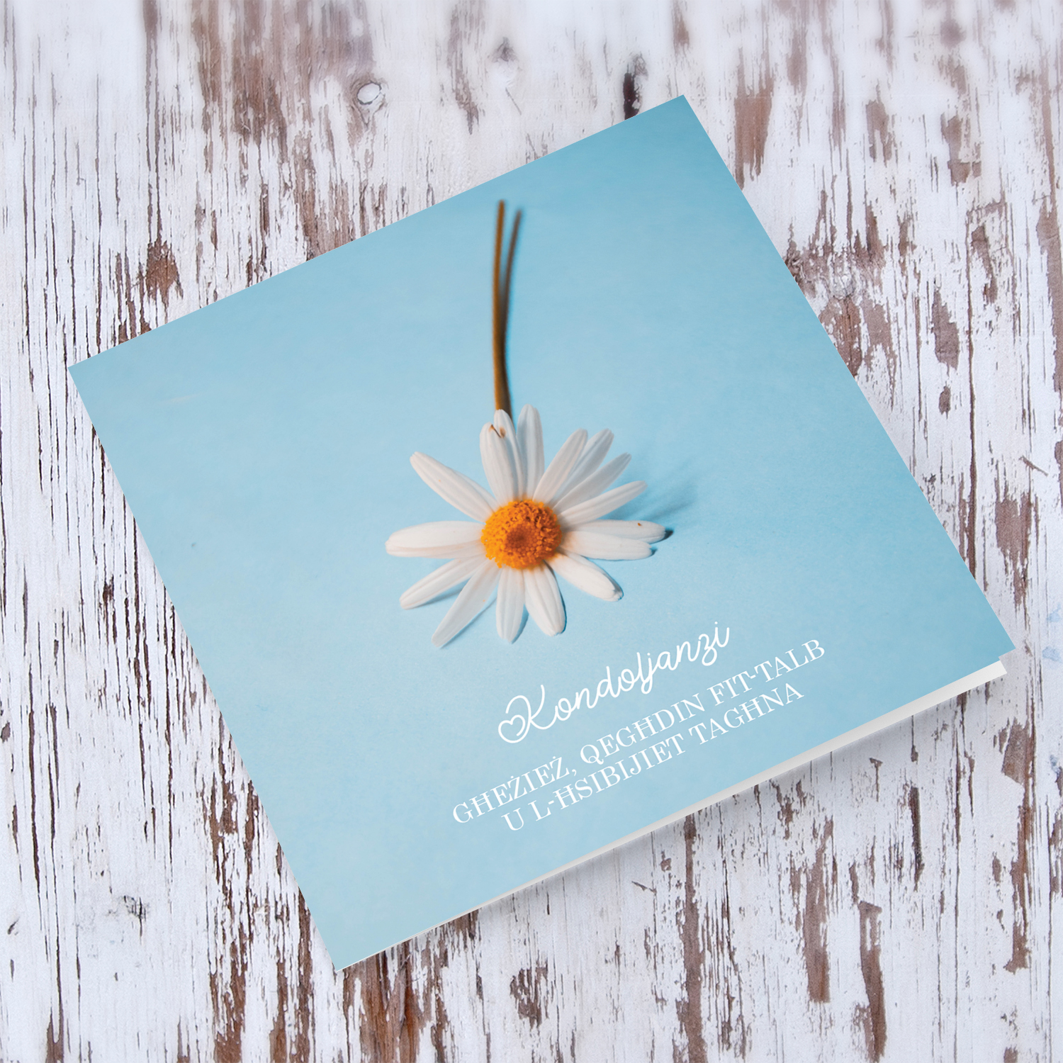 Sympathy card with white flower and pastel background in Maltese